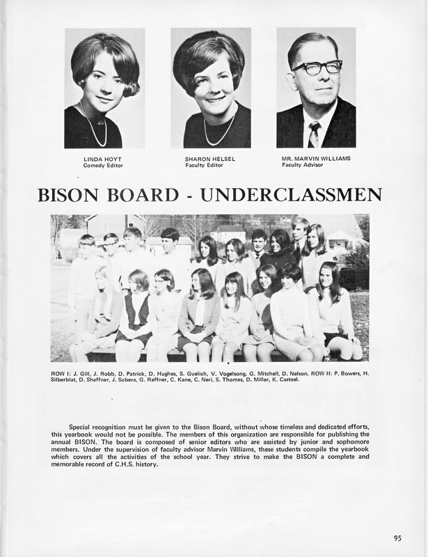 Bison Board 2 Bison Board 2
