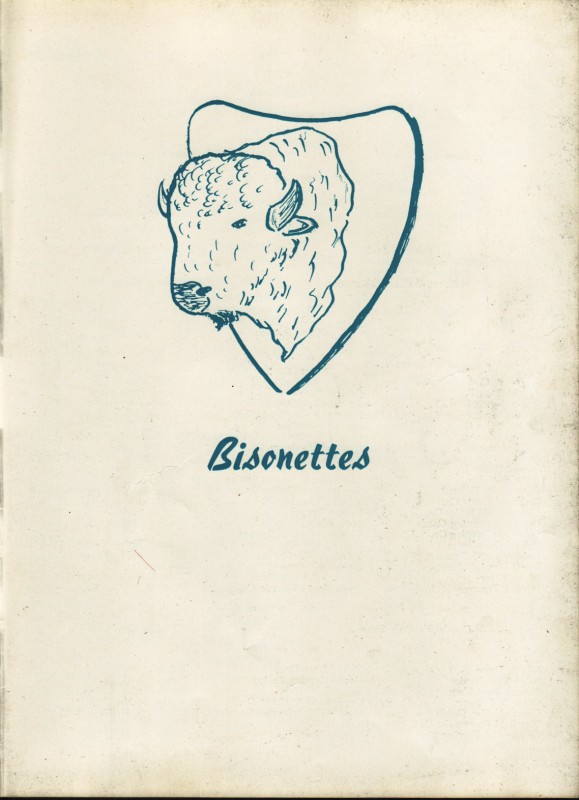 Bisonettes