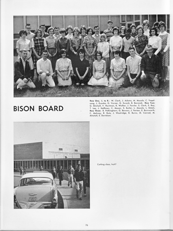 Bison Board